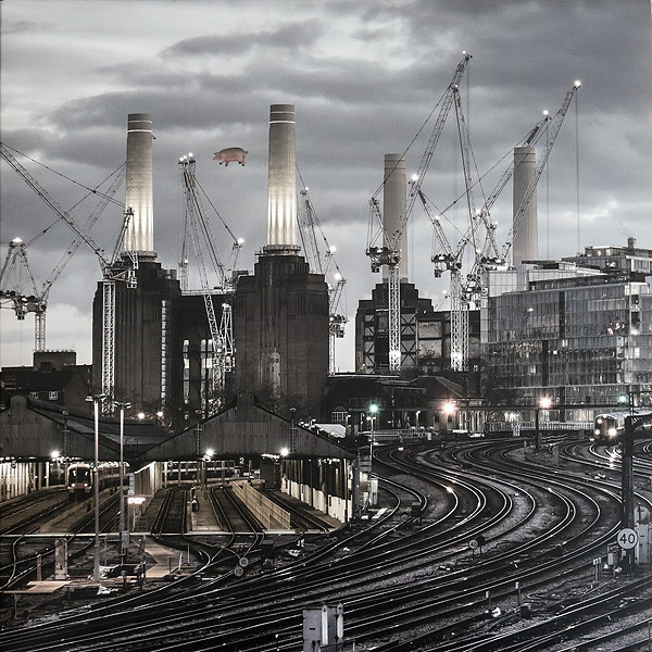 Animals (2018 Remix)